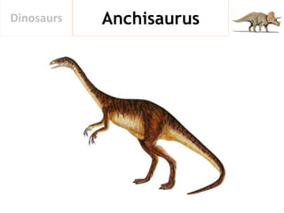 AnchisaurusDinosaurs
 