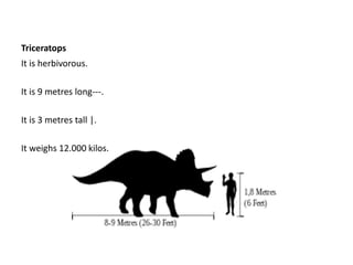 Triceratops
It is herbivorous.
It is 9 metres long---.
It is 3 metres tall |.
It weighs 12.000 kilos.
 
