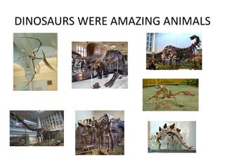DINOSAURS WERE AMAZING ANIMALS
 