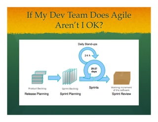 If My Dev Team Does Agile
Aren’t I OK?
 