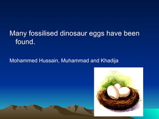 Many fossilised dinosaur eggs have been
found.
Mohammed Hussain, Muhammad and Khadija