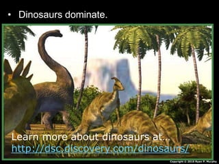 • Dinosaurs dominate.
Copyright © 2010 Ryan P. Murphy
Learn more about dinosaurs at…
http://dsc.discovery.com/dinosaurs/
 