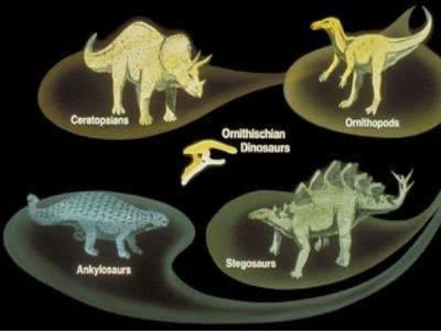 extinction of dinosaurs era
