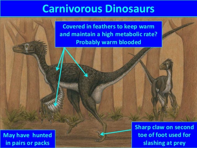 4 legged dinosaur with spikes on back