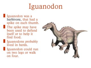 Iguanodon
• Iguanodon was a
herbivore, that had a
spike on each thumb.
• The spike may have
been used to defend
itself or to help it
find food.
• Iguanodons probably
lived in herds.
• Iguanodon could run
on two legs or walk
on four.
 