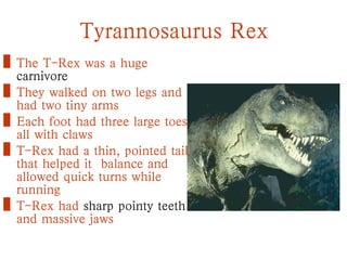 Tyrannosaurus Rex
• The T-Rex was a huge
carnivore
• They walked on two legs and
had two tiny arms
• Each foot had three large toes,
all with claws
• T-Rex had a thin, pointed tail
that helped it balance and
allowed quick turns while
running
• T-Rex had sharp pointy teeth
and massive jaws
 