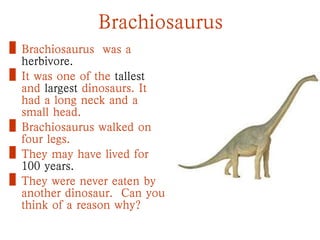 Brachiosaurus
• Brachiosaurus was a
herbivore.
• It was one of the tallest
and largest dinosaurs. It
had a long neck and a
small head.
• Brachiosaurus walked on
four legs.
• They may have lived for
100 years.
• They were never eaten by
another dinosaur. Can you
think of a reason why?
 