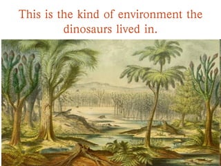 This is the kind of environment the
dinosaurs lived in.
 
