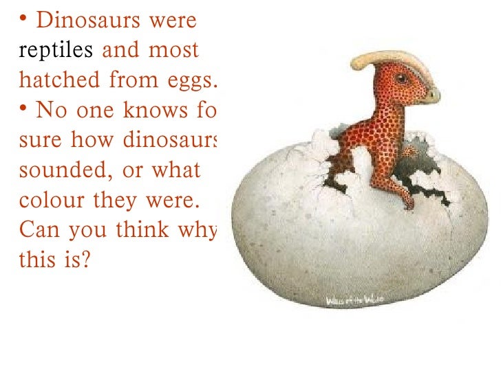 dinosaurs ppt with info dinosaur powerpoint template