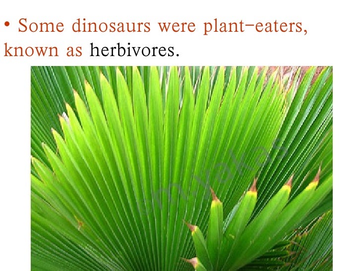 dinosaurs ppt with info dinosaur powerpoint template