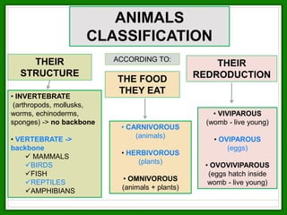 ANIMALS
CLASSIFICATION
THEIR
STRUCTURE
THE FOOD
THEY EAT
THEIR
REDRODUCTION
• CARNIVOROUS
(animals)
• HERBIVOROUS
(plants)
• OMNIVOROUS
(animals + plants)
• VIVIPAROUS
(womb - live young)
• OVIPAROUS
(eggs)
• OVOVIVIPAROUS
(eggs hatch inside
womb - live young)
• INVERTEBRATE
(arthropods, mollusks,
worms, echinoderms,
sponges) -> no backbone
• VERTEBRATE ->
backbone
 MAMMALS
BIRDS
FISH
REPTILES
AMPHIBIANS
ACCORDING TO:
 