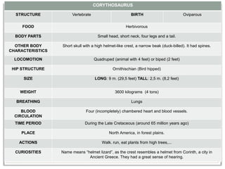 CORYTHOSAURUS
STRUCTURE Vertebrate BIRTH Oviparous
FOOD Herbivorous
BODY PARTS Small head, short neck, four legs and a tail.
OTHER BODY
CHARACTERISTICS
Short skull with a high helmet-like crest, a narrow beak (duck-billed). It had spines.
LOCOMOTION Quadruped (animal with 4 feet) or biped (2 feet)
HIP STRUCTURE Ornithischian (Bird hipped)
SIZE LONG: 9 m. (29,5 feet) TALL: 2,5 m. (8,2 feet)
WEIGHT 3600 kilograms (4 tons)
BREATHING Lungs
BLOOD
CIRCULATION
Four (incompletely) chambered heart and blood vessels.
TIME PERIOD During the Late Cretaceous (around 65 million years ago)
PLACE North America, in forest plains.
ACTIONS Walk. run, eat plants from high trees,...
CURIOSITIES Name means “helmet lizard”, as the crest resembles a helmet from Corinth, a city in
Ancient Greece. They had a great sense of hearing.
 