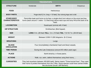 TRICERATOPS
STRUCTURE Vertebrate BIRTH Oviparous
FOOD Herbivorous
BODY PARTS Huge skull (3 m. long = 10 feet), four strong legs and a tail.
OTHER BODY
CHARACTERISTICS
Parrot-like beak and horns on its face: a single short horn above on the snout and two
horns (each around 1 metre - 3,3 feet long) above each eye and bony frill at the back of its
head.
LOCOMOTION Quadruped (animal with 4 feet)
HIP STRUCTURE Ornithischian (Bird hipped)
SIZE LONG: 8 m. (26 feet) TALL: 3 m. (10 feet) TAIL: 7,5-10,7 m. (25-35 feet)
WEIGHT Between 5.500-11.000 kilograms (6-12 tons)
BREATHING Lungs
BLOOD
CIRCULATION
Four (incompletely) chambered heart and blood vessels.
TIME PERIOD During the Late Cretaceous (around 65 million years ago)
PLACE North America, in forest plains.
ACTIONS Walk. run, swim, defend themselves using their horns,…
CURIOSITIES They had anywhere between 400-800 teeth. Name means “Three-horned face”. They used
their horns to protect themselves from the T-Rex. Some species could have carried bristle-
like structures (brush: stiff filament).
 