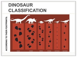 DINOSAUR
CLASSIFICATION
ACCORDINGTOTHEIRFOOTPRINTS:
 