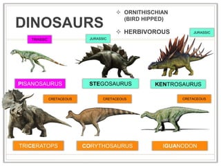  ORNITHISCHIAN
(BIRD HIPPED)
DINOSAURS  HERBIVOROUS
 