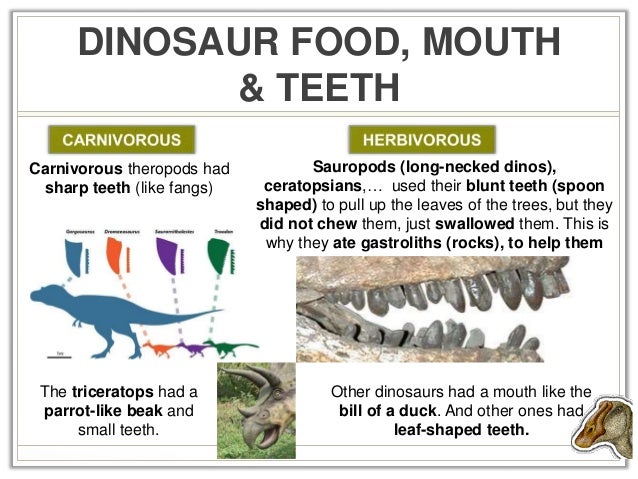 types of dinosaurs with short arms