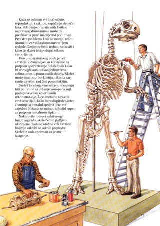Kada se jednom svi fosili očiste,
reprodukuju i sakupe, započinje sledeća
faza. Sklapanje prepariranih fosila u
uspravnog dinosaurusa može da
predstavlja pravi inženjerski poduhvat.
Prva dva problema koja se moraju rešiti
(naročito za velike dinosauruse) jesu
redosled kojim se fosili trebaju sastaviti i
kako će skelet biti poduprt tokom
sastavljanja.
Deo preparatorskog posla je već
završen. Žičane šipke su korišćene za
potporu i povezivanje nekih fosila kako
bi se mogli koristiti kao jedinstvena
celina umesto puno malih delova. Skelet
može imati stotine kostiju, tako da sav
ranije završen rad čini posao lakšim.
Skele i žice koje vise sa tavanice mogu
biti potrebne za držanje konopaca koji
podupiru velike kosti tokom
rekonstrukcije. Žice, metalne šipke ili
cevi se savijaju kako bi podupirale skelet
životinje, a metalni spojevi drže sve
zajedno. Nekada se moraju izbušiti rupe
za potporu metalnom šipkom.
Nakon više meseci zahtevnog i
brižljivog rada, skele će biti pažljivo
uklonjene. Tada se obično vrši završno
bojenje kako bi se sakrile popravke.
Skelet je sada spreman za javno
izlaganje.
13
 