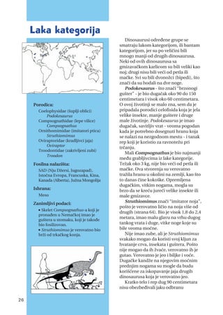 Dinosaurusi određene grupe se
smatraju lakom kategorijom, ili bantam
kategorijom, jer su po veličini bili
mnogo manji od drugih dinosaurusa.
Neki od ovih dinosaurusa sa
gmizavačkom karlicom su bili veliki kao
noj; drugi nisu bili veći od petla ili
mačke. Svi su bili dvonožci (bipedi), što
znači da su hodali na dve noge.
Podokesaurus - što znači “brzonogi
gušter” - je bio dugačak oko 90 do 150
centimetara i visok oko 60 centimetara.
O ovoj životinji se malo zna, sem da je
pripadala porodici celofisida koja je jela
velike insekte, manje guštere i druge
male životinje. Podokesaurus je imao
dugačak, savitljiv vrat - veoma pogodan
kada je potrebno dosegnuti hranu koja
se nalazi na nezgodnom mestu - i tanak
rep koji je koristio za ravnotežu pri
trčanju.
Mali Compsognathus je bio najmanji
među grabljivcima iz lake kategorije.
Težak oko 3 kg, nije bio veći od petla ili
mačke. Ova stvorenja su verovatno
tražila hranu u okolini na zemlji, kao što
to danas čine kokoške. Opremljena
dugačkim, vitkim nogama, mogla su
brzo da se kreću jureći velike insekte ili
male gmizavce.
Struthiomimus znači “imitator noja”,
pošto je verovatno ličio na noja više od
drugih (strana 64). Bio je visok 1,8 do 2,4
metara, imao malu glavu na vrhu dugog
tankog vrata i duge, vitke noge koje su
bile veoma moćne.
Nije imao zube, ali je Struthiomimus
svakako mogao da koristi svoj kljun za
hvatanje crva, insekata i guštera. Pošto
nije mogao da ih žvaće, verovatno ih je
gutao. Verovatno je jeo i biljke i voće.
Dugačke kandže na njegovim moćnim
prednjim nogama su mogle da budu
korišćene za iskopavanje jaja drugih
dinosaurusa koja je verovatno jeo.
Kratko telo i rep dug 90 centimetara
nisu obezbeđivali jaku odbranu
Laka kategorija
Porodica:
Coelophysidae (šuplji oblici)
Podokesaurus
Compsognathidae (lepe vilice)
Compsognathus
Ornithomimidae (imitatori ptica)
Struthiomimus
Oviraptoridae (kradljivci jaja)
Oviraptor
Troodontidae (zakrivljeni zubi)
Troodon
Fosilna nalazišta:
SAD (Nju Džersi, Jugozapad),
Istočna Evropa, Francuska, Kina,
Kanada (Alberta), Južna Mongolija
Ishrana:
Meso
Zanimljivi podaci:
n
Skelet Compsognathus-a koji je
pronađen u Nemačkoj imao je
guštera u stomaku, koji je takođe
bio fosilizovan.
n
Struthiomimus je verovatno bio
brži od trkačkog konja.
26
 