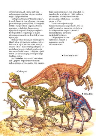 strutiomimusu, ali su mu najbolju
odbranu predstavljale njegove snažne
noge i njegova brzina.
Oviraptor, što znači “kradljivac jaja”,
je nasledio svoje ime od prvog primerka
pronađenog u pustinji Gobi u Mongoliji
(1922). Njegove kosti su pronađene sa
gnezdom velikih jaja dinosaurusa;
njegova slomljena lobanja je mogla da
bude posledica toga što ga je majka
dinosaurus uhvatila na delu dok je krao
njena jaja!
Imao je veliki mozak, ali manju glavu
i kraći kljun od životinja nalik na nojeve.
Iako mu je kljun bio bez zuba, imao je
snažne vilice i dva oštra šiljka koja su se
pružala od gornjeg dela njegovih usta,
verovatno korišćena za razbijanje jaja ili
malih kostiju ili drugog plena pre nego
što bi ga pojeo.
Reč Troodon, koja znači “zakrivljeni
zub”, je prvo pripisana neobičnom
zubu, ali dugo vremena nije bilo sigurno
kojoj su životinji takvi zubi pripadali. Još
takvih zuba je otkriveno 1980. godine u
Montani uz ostatke dinosauruskih
gnezda, jaja, mladunaca i skeleta u
punoj veličini.
Verovatno najistaknutija
karakteristika jesu njegovi zubi. Oni su
prilično ravni sa strane, uz zakrivljene
nazubljene ivice napred i pozadi, i
raspoređeni su na veoma
tankoj viličnoj kosti.
Zbog njegove brzine i
spretnosti, nazvan je
gepardom među
dinosaurusima.
27
n
Strutiomimus
c Oviraptor
<Troodon
p Kompsognatus
· Podekesaurus
 