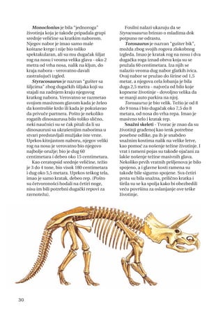 Monoclonius je bila “jednoroga”
životinja koja je takođe pripadala grupi
srednje veličine sa kratkim naborom.
Njegov nabor je imao samo male
koštane kvrge i nije bio toliko
spektakularan, ali su mu dugačak šiljat
rog na nosu i veoma velika glava - oko 2
metra od vrha nosa, nalik na kljun, do
kraja nabora - verovatno davali
zastrašujući izgled.
Styracosaurus je nazvan “gušter sa
šiljcima” zbog dugačkih šiljaka koji su
stajali na zadnjem kraju njegovog
kratkog nabora. Verovatno se razmetao
svojom masivnom glavom kada je želeo
da kontroliše krdo ili kada je pokušavao
da privuče partnera. Pošto je nekoliko
rogatih dinosaurusa bilo toliko slično,
neki naučnici su se čak pitali da li su
dinosaurusi sa ukrašenijim naborima u
stvari predstavljali mužjake iste vrste.
Uprkos kitnjastom naboru, njegov veliki
rog na nosu je verovatno bio njegovo
najbolje oružje; bio je dug 60
centimetara i debeo oko 15 centimetara.
Kao ceratopsid srednje veličine, težio
je 3 do 4 tone, bio visok 180 centimetara
i dug oko 5,5 metara. Uprkos teškog tela,
imao je samo kratak, debeo rep. (Pošto
su četvoronošci hodali na četiri noge,
nisu im bili potrebni dugački repovi za
ravnotežu).
Fosilni nalazi ukazuju da se
Styracosaurus brinuo o mladima dok
potpuno ne odrastu.
Torosaurus je nazvan “gušter bik”,
možda zbog svojih rogova zlokobnog
izgleda. Imao je kratak rog na nosu i dva
dugačka roga iznad obrva koja su se
pružala 60 centimetara. Iza njih se
nalazio veoma dug nabor glatkih ivica.
Ovaj nabor se pružao do širine od 1,5
metar, a njegova cela lobanja je bila
duga 2,5 metra - najveća od bilo koje
kopnene životinje - dovoljno velika da
se manji auto parkira na njoj.
Torosaurus je bio velik. Težio je od 8
do 9 tona i bio dugačak oko 7,5 do 8
metara, od nosa do vrha repa. Imao je
masivno telo i kratak rep.
Snažni skeleti - Tvorac je znao da su
životinji građenoj kao tenk potrebne
posebne odlike, pa ih je snabdeo
snažnim kostima nalik na velike letve,
kao pomoć za nošenje težine životinje. I
vrat i rameni pojas su takođe ojačani za
lakše nošenje težine masivnih glava.
Nekoliko prvih vratnih pršljenova je bilo
spojeno, a i glavne kosti ramena su
takođe bile sigurno spojene. Sva četiri
prsta su bila snažna, prilično kratka i
širila su se ka spolja kako bi obezbedili
veću površinu za oslanjanje ove teške
životinje.
30
 