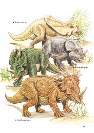 31
n
Torosaurus
c Eukentrosaurus
<Monoklonius
· Stirakosaurus
 