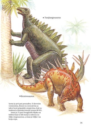 35
n
Kentrosaurus
p Tuojiangosaurus
kome je prvi put pronađen. U drevnim
vremenima, Kinezi su verovali da su
takve kosti pripadale zmajevima, koji su
istaknuti u kineskoj istoriji (strane 80-83).
Imao je 15 pari trouglastih šiljaka na
leđima koji su bili manji u odnosu na
šiljke stegosaurusa, a imao je šiljke i na
kraju repa.
 