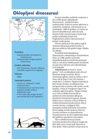 Postoji nekoliko različitih varijeteta u
dve velike grupe oklopljenih
dinosaurusa - ankilosaurida i
nodosaurida. Pošto su ostaci otkriveni u
različitim zemljama, informacije su se
preklapale. 1980-ih godina, svi nalazi su
ponovo klasifikovani, tako da sada
imamo bolje razumevanje o tome koji
podaci pripadaju kojoj vrsti.
Pogledaćemo jedan reprezentativni
primer svake grupe.
Glavna sličnost je bila njihov izgled
(koštani oklop koji prekriva leđa), a
glavna razlika je bila građa kvrga i šiljaka
na oklopu.
Poslednji fosil oklopljenog
dinosaurusa (zakopanog u antarktičkom
ledu), je 1988. godine pronašla
ekspedicija koja je istraživala južni pol.
Iako se zna da je ankilosaurid, istraživači
mu još nisu dali ime niti odlučili kojoj
vrsti pripada.
Ankylosaurus se naziva “kruti
gušter”. Liči na oklopljeni tenk više od
bilo koje druge životinje. Bio je
masivnog izgleda. Imao je težinu 3 do 5
tona, bio je dug 5,5 do 10,5 metara, i
visok oko 1,2 metara. Njegova lobanja je
bila široka i kratka, sa oklopom kao
kacigom koji se pružao čak i preko očnih
kapaka, i imao je trouglaste rogove na
zadnjim uglovima glave. Njegov kratak
vrat i telo u obliku bureta bili su
prekriveni istim kožnim oklopom
ukrašenim koštanim kvrgama. Kratak,
debeo rep se sužavao u krutu dršku sa
velikim koštanim buzdovanom. Bio je
veoma moćan, a toljaga je bila
ispunjena malim koštanim čvorovima.
Kosti toljage su bile spojene čineći je
čvrstim oružjem za samoodbranu.
Daspletosaurus na slici izgleda kao da je
bio prilično neprijatno iznenađen.
Glava ankilosaurusa je imala
otvorene prolaze kroz koje je mogao da
diše dok u isto vreme jede (kao što to
čine ljudi). Neki naučnici veruju da je to
Oklopljeni dinosaurusi
Porodica:
Ankylosauridae (kruti gušteri)
Ankylosaurus
Nodosauridae (kvrgavi gušteri)
Polacanthus
Fosilna nalazišta:
SAD (Montana), Kanada (Alberta),
Antarktik, Jugoistočna Engleska
Ishrana:
Biljke
Zanimljivi podaci:
n
Zvani su “oklopnici” među
dinosaurusima.
n
Ankylosaurus je verovatno imao
dugačak savitljiv jezik za
skupljanje hrane.
n
Verovatno nije mogao da baci
rep na leđa ako je bio napadnut.
36
 