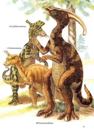 41
p Lambeosaurus
c Cintaosaurus
<Parasaurolofus
 