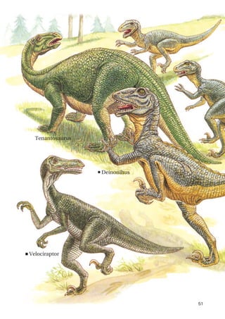 51
n
Deinonihus
<Velociraptor
Tenantosaurus
 