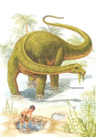 55
n
Apatosaurus
 