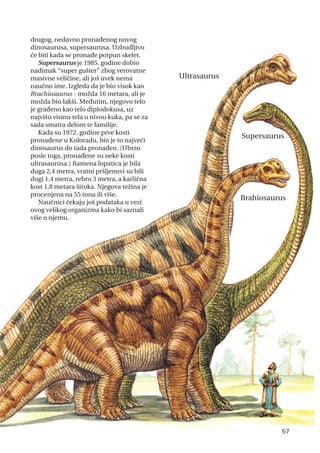 drugog, nedavno pronađenog novog
dinosaurusa, supersaurusa. Uzbudljivo
će biti kada se pronađe potpun skelet.
Supersaurus je 1985. godine dobio
nadimak “super gušter” zbog verovatne
masivne veličine, ali još uvek nema
naučno ime. Izgleda da je bio visok kao
Brachiosaurus - možda 16 metara, ali je
možda bio lakši. Međutim, njegovo telo
je građeno kao telo diplodokusa, uz
najvišu visinu tela u nivou kuka, pa se za
sada smatra delom te familije.
Kada su 1972. godine prve kosti
pronađene u Koloradu, bio je to najveći
dinosaurus do tada pronađen. (Ubrzo
posle toga, pronađene su neke kosti
ultrasaurusa.) Ramena lopatica je bila
duga 2,4 metra, vratni pršljenovi su bili
dugi 1,4 metra, rebro 3 metra, a karlična
kost 1,8 metara široka. Njegova težina je
procenjena na 55 tona ili više.
Naučnici čekaju još podataka u vezi
ovog velikog organizma kako bi saznali
više o njemu.
Ultrasaurus
Supersaurus
Brahiosaurus
57
 
