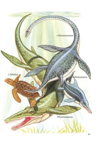 · Elasmosaurus
n
Kronosaurus
c Arhelon
<Ihtiosaurus
61
 