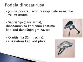  Još na početku svog razvoja dele se na dve
velike grupe:
 Saurishija (Saurischia),
dinosaurus sa karličnim kostima
kao kod današnjih gmizavaca
 Ornitishija (Ornitischia),
sa skeletom kao kod ptica.
 