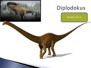 Dužina 24 m
 