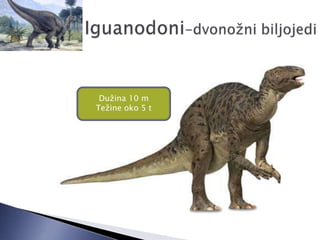 Dužina 10 m
Težine oko 5 t
 