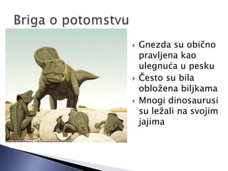  Gnezda su obično
pravljena kao
ulegnuća u pesku
 Često su bila
obložena biljkama
 Mnogi dinosaurusi
su ležali na svojim
jajima
 
