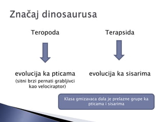 Teropoda
evolucija ka pticama
(sitni brzi pernati grabljivci
kao velociraptor)
Terapsida
evolucija ka sisarima
Klasa gmizavaca dala je prelazne grupe ka
pticama i sisarima
 