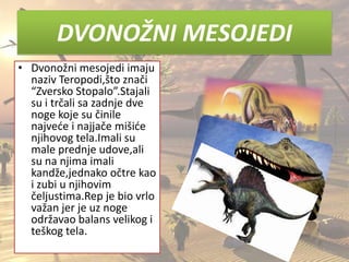 DVONOŽNI MESOJEDI
• Dvonožni mesojedi imaju
naziv Teropodi,što znači
“Zversko Stopalo”.Stajali
su i trčali sa zadnje dve
noge koje su činile
najvede i najjače mišide
njihovog tela.Imali su
male prednje udove,ali
su na njima imali
kandže,jednako očtre kao
i zubi u njihovim
čeljustima.Rep je bio vrlo
važan jer je uz noge
održavao balans velikog i
teškog tela.
 