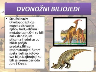 DVONOŽNI BILJOJEDI
• Stručni naziv
Ornitopodi(ptičje
noge),opisivao je
njihov hod,veličinu i
metabolizam.Oni su bili
nalik današnjim
pticama i jedni su od
bližih ptičjih
predaka.Bili su
rasprostranjeni širom
sveta i jeli su gotovo
svo bilje.Najbrojniji su
bili za vreme perioda
Jure i Krede.
 