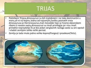 TRIJAS
• Početkom Trijasa,dinosaurusi su bili malobrojni i ne tako dominantni u
moru,ali ni na kopnu.Jedna od najranijih,čoveku poznatih vrsta
dinosaurusa je Herrerasaurus,mali mesožder koji se hranio okeanskom
ribom.U novom svetu,dinosaurusi su imali privilegije jer nisu imali
prirodne neprijatelje.To je bio jedan od glavnih razloga zasto su oni opstali
i vladali zemljom toliko veliki period.
• Zemlja je tada imala jedno veliko kopno(Pangea) i praokean(Tetis).
 