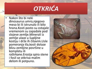 OTKRIDA
• Nakon što bi neki
dinosaurus umro,njegovo
meso bi ili istrunulo ili bilo
hrana.Kosti posto su ostajale
vremenom su zapadale pod
slojeve zemlje.Minerali iz
zemlje ulaze u šupljine
kostiju i drže ih čitavim.Usle
pomeranja tla,kosti dolaze
blizu zemljine površine u
kompletu ili
raštrkane.Erozija spira stene
i fosil se otkriva malim
delom ili potpuno.
 