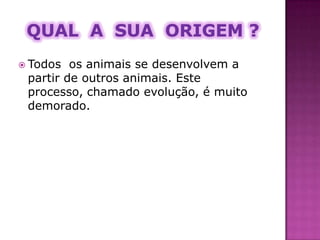 Há quanto tempo viveram ?Apareceram pela primeira vez na terra há cerca de 225 milhões de anos, no chamado período Triásico. Cresceram e modificaram-se á medida que o nosso planeta se foi desenvolvendo, durante os período Jurásico e Cretácico e nessa altura ficaram extintos, isto há cerca de 64 milhões de anos.