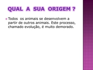 Há quanto tempo viveram ?Apareceram pela primeira vez na terra há cerca de 225 milhões de anos, no chamado período Triásico. Cresceram e modificaram-se á medida que o nosso planeta se foi desenvolvendo, durante os período Jurásico e Cretácico e nessa altura ficaram extintos, isto há cerca de 64 milhões de anos.