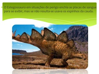 O Estegossauro em situações de perigo enchia as placas de sangue para se exibir, mas se não resulta-se usava os espinhos da cauda.