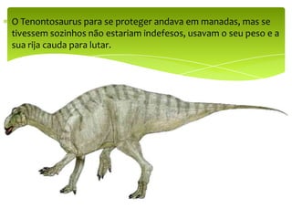 O Tenontosaurus para se proteger andava em manadas, mas se tivessem sozinhos não estariam indefesos, usavam o seu peso e a sua rija cauda para lutar.