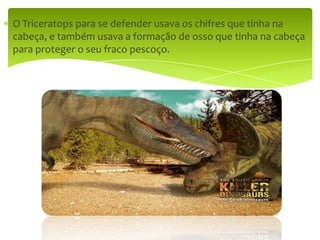 O Triceratops para se defender usava os chifres que tinha na cabeça, e também usava a formação de osso que tinha na cabeça para proteger o seu fraco pescoço. 