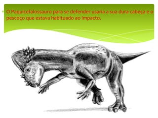 O Paquicefalossauro para se defender usaria a sua dura cabeça e o pescoço que estava habituado ao impacto.