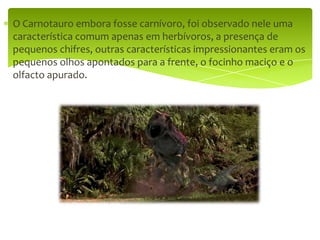 O Carnotauro embora fosse carnívoro, foi observado nele uma característica comum apenas em herbívoros, a presença de pequenos chifres, outras características impressionantes eram os pequenos olhos apontados para a frente, o focinho maciço e o olfacto apurado. 