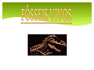 Carangueijo-ferradura