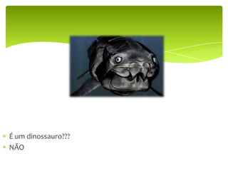 É um dinossauro???SIM